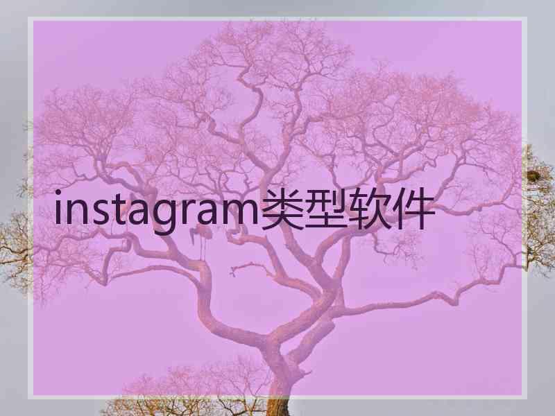 instagram类型软件