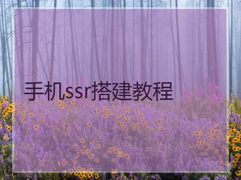 手机ssr搭建教程