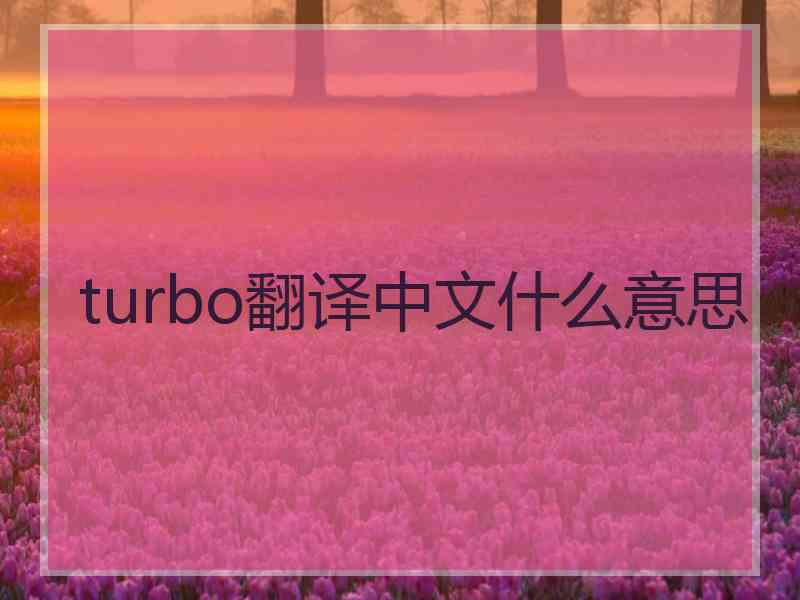 turbo翻译中文什么意思