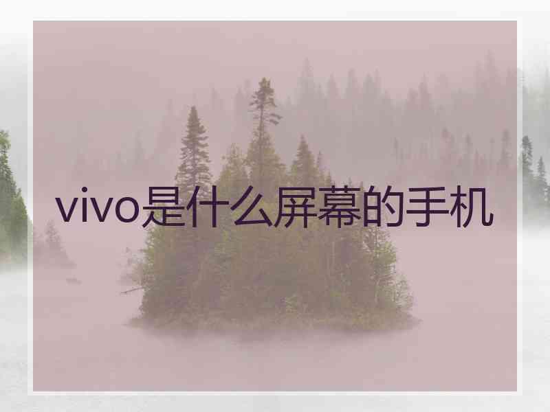 vivo是什么屏幕的手机