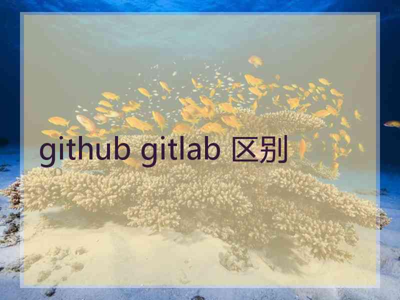 github gitlab 区别