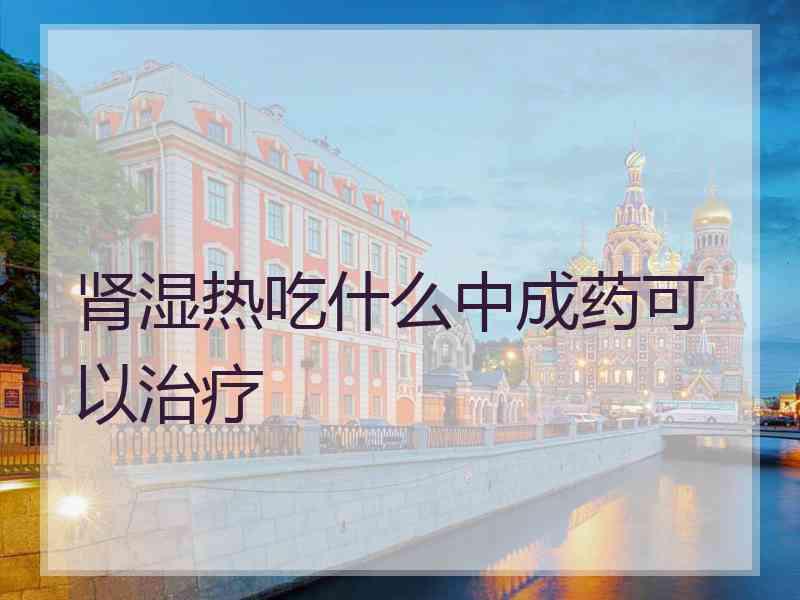 肾湿热吃什么中成药可以治疗