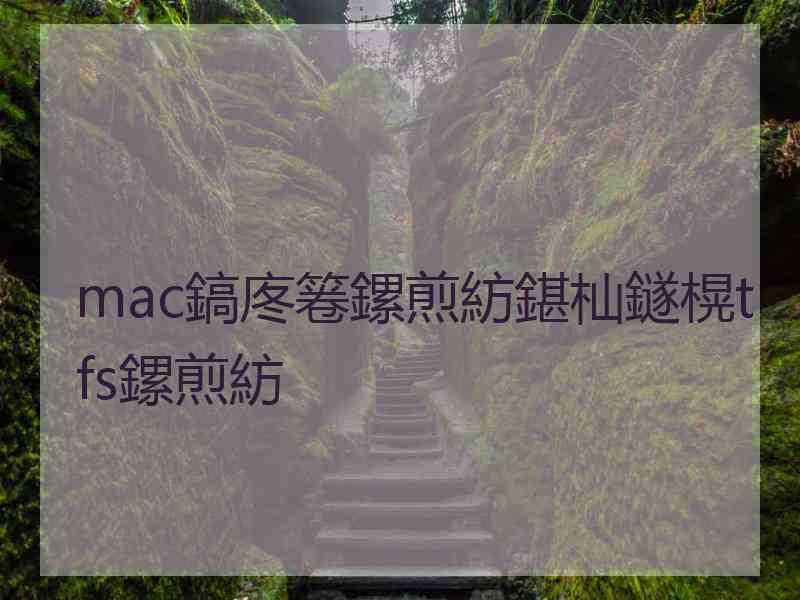 mac鎬庝箞鏍煎紡鍖杣鐩榥tfs鏍煎紡