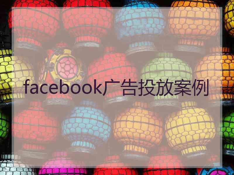 facebook广告投放案例