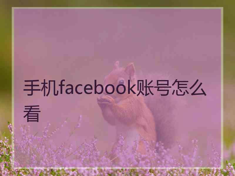 手机facebook账号怎么看