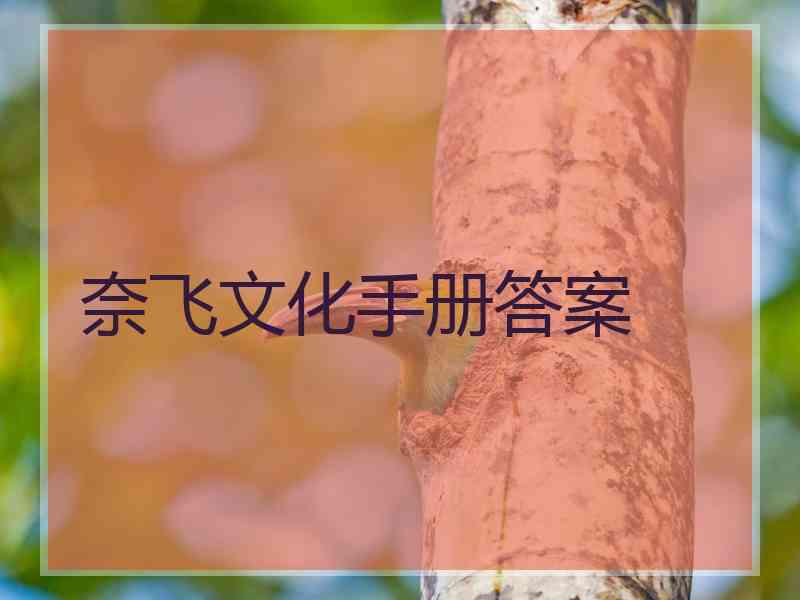 奈飞文化手册答案