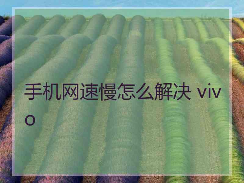 手机网速慢怎么解决 vivo