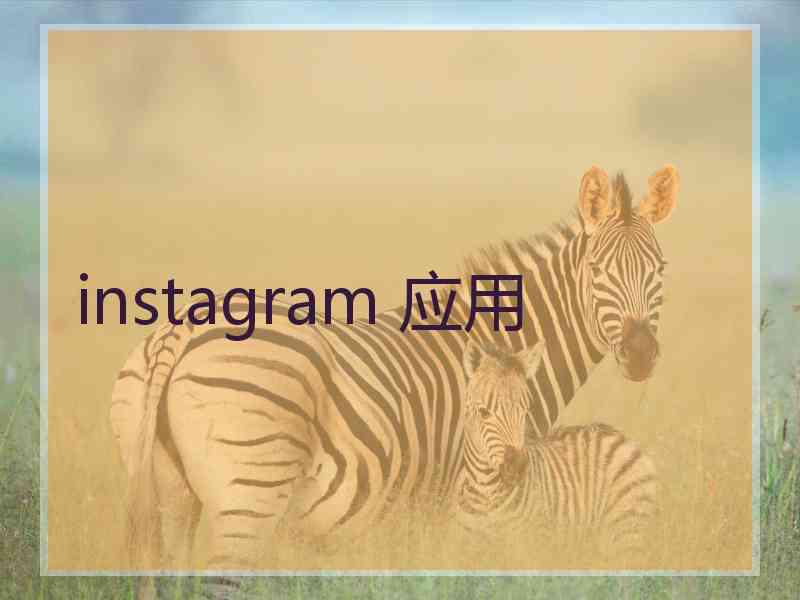 instagram 应用