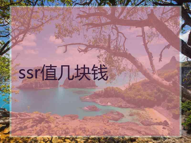 ssr值几块钱