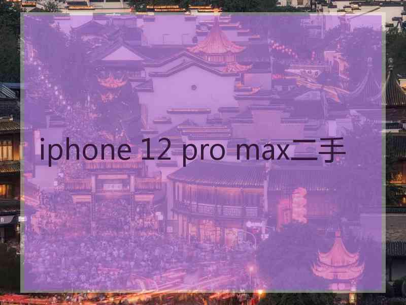 iphone 12 pro max二手