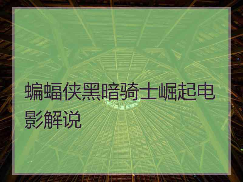 蝙蝠侠黑暗骑士崛起电影解说