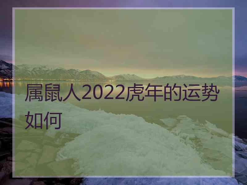 属鼠人2022虎年的运势如何