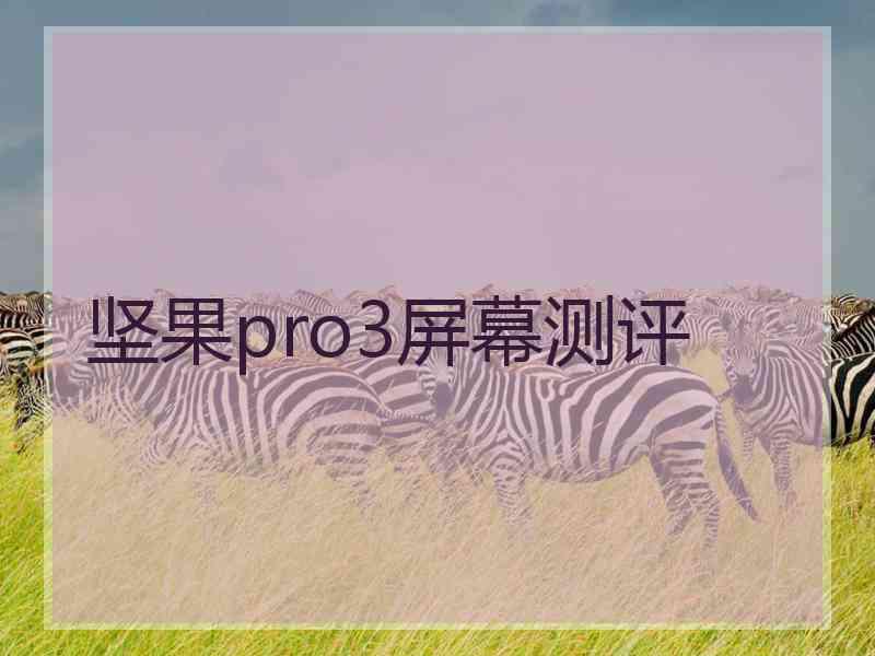 坚果pro3屏幕测评