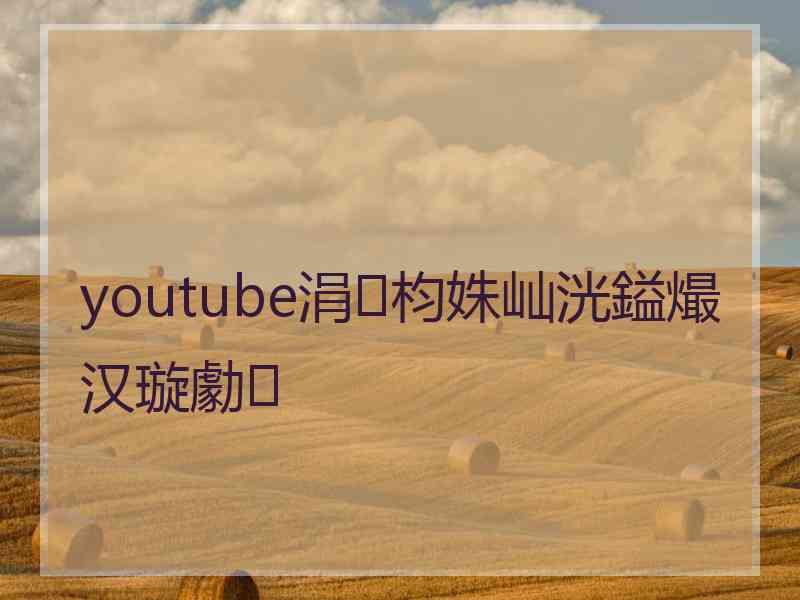 youtube涓枃姝屾洸鎰熶汉璇勮