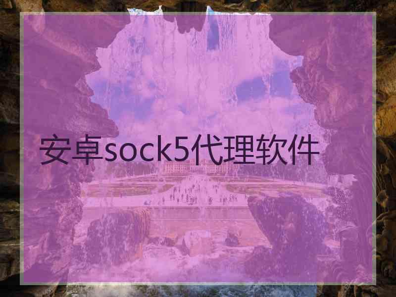 安卓sock5代理软件