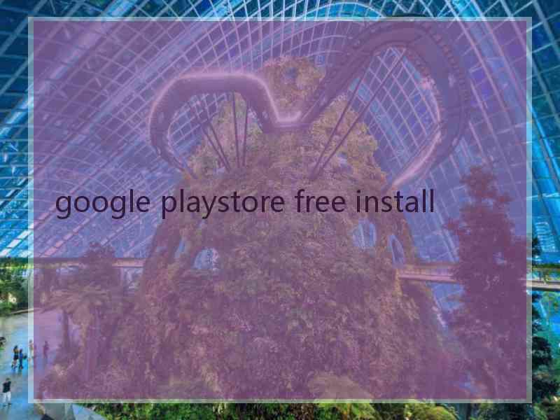 google playstore free install