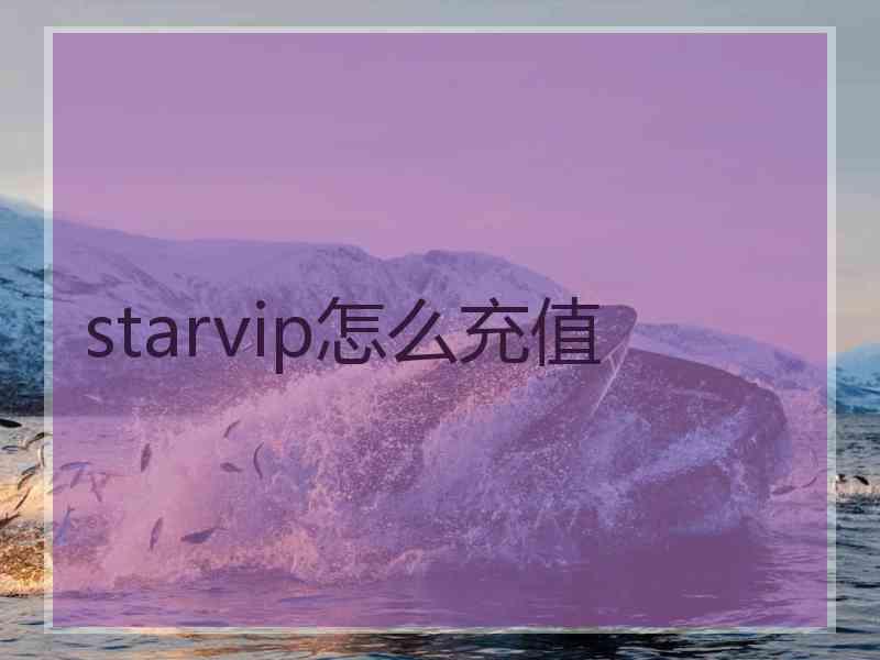 starvip怎么充值