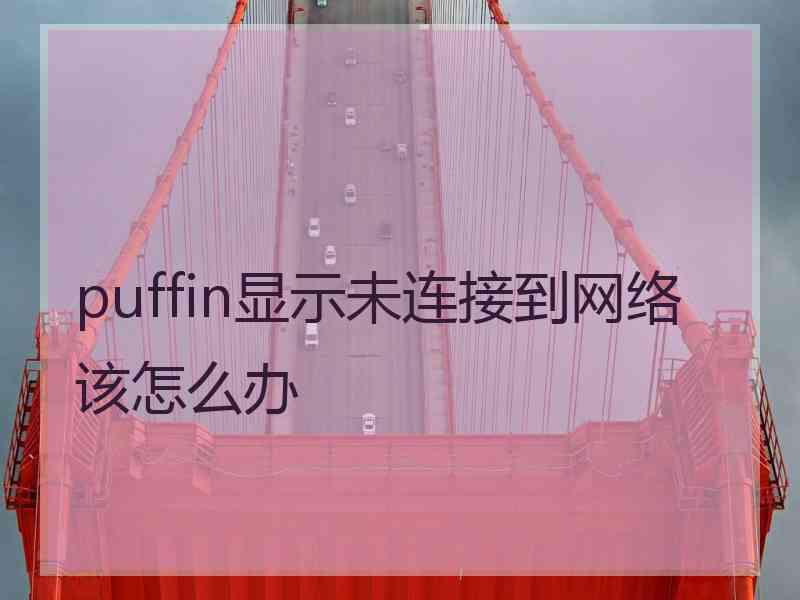 puffin显示未连接到网络该怎么办