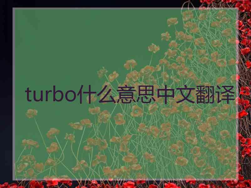 turbo什么意思中文翻译