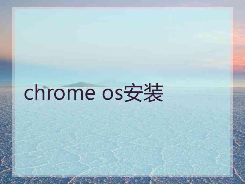 chrome os安装