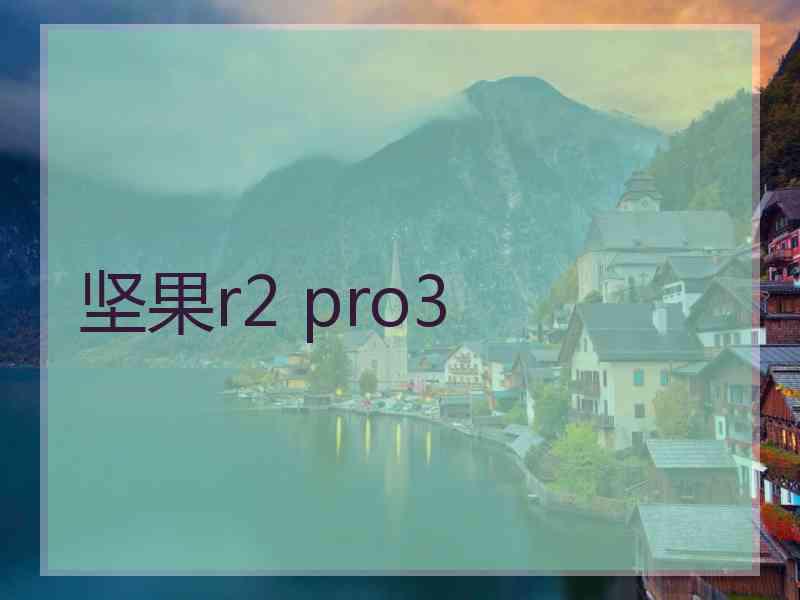 坚果r2 pro3