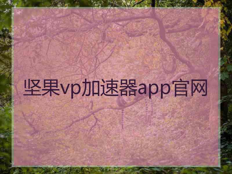 坚果vp加速器app官网