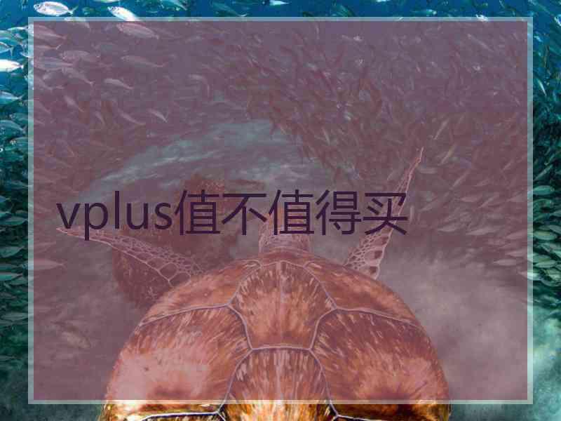 vplus值不值得买