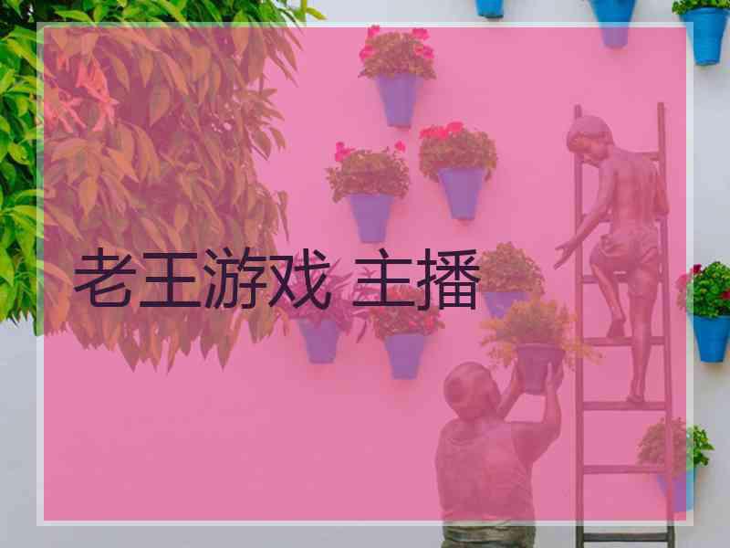 老王游戏 主播