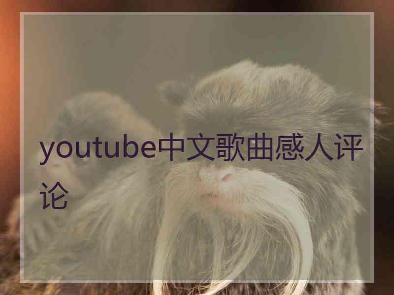 youtube中文歌曲感人评论