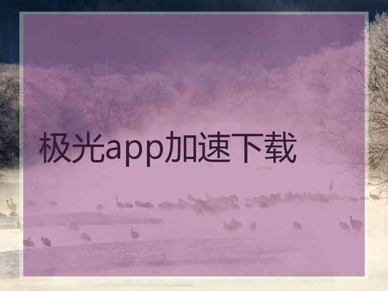 极光app加速下载