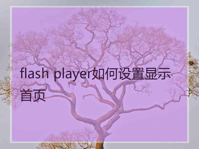 flash player如何设置显示首页