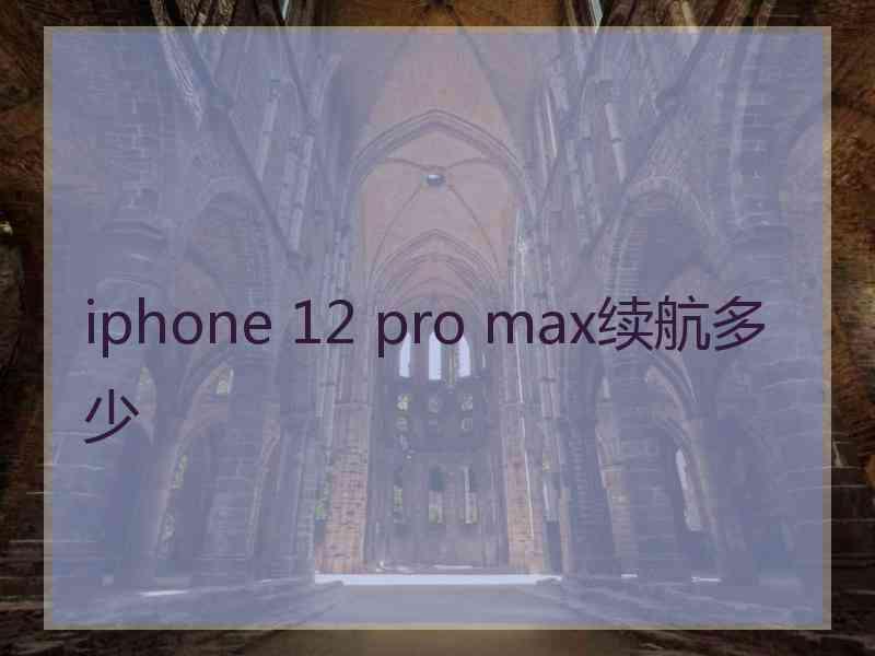 iphone 12 pro max续航多少