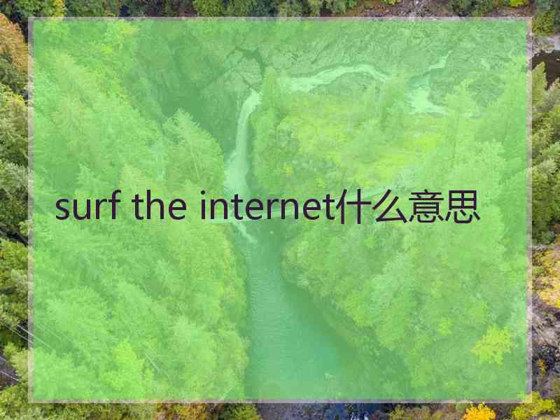 surf the internet什么意思