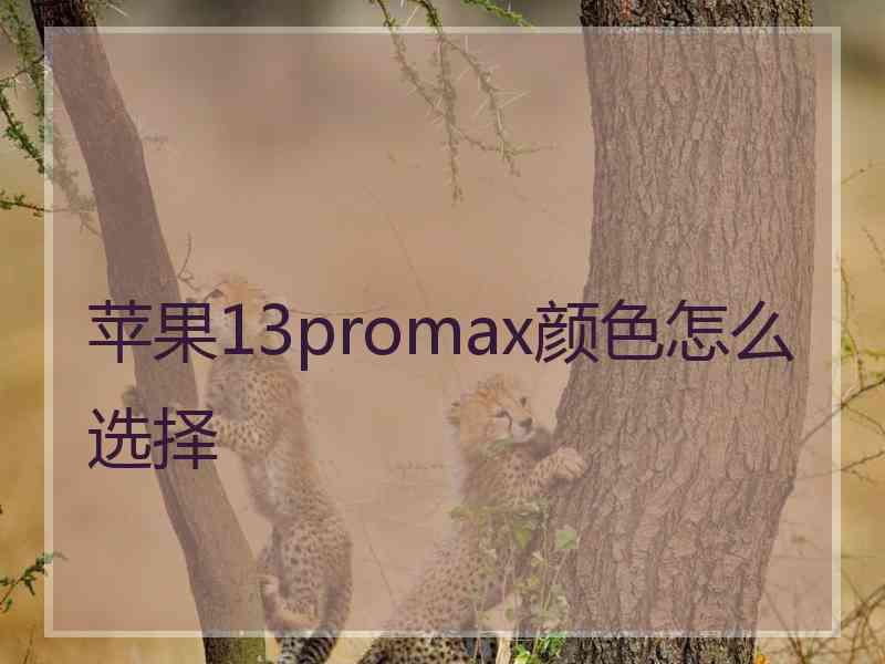 苹果13promax颜色怎么选择