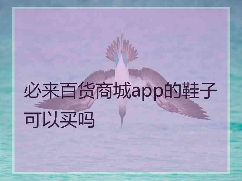 必来百货商城app的鞋子可以买吗