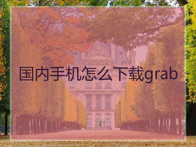 国内手机怎么下载grab