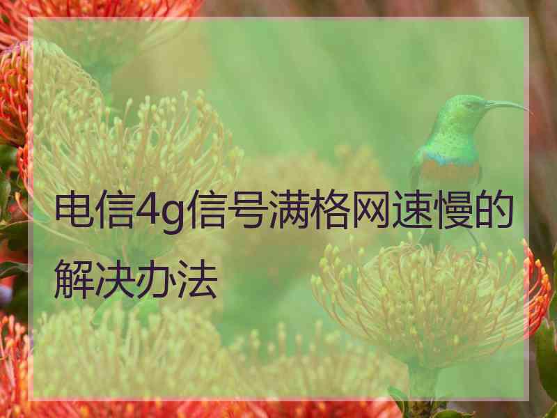 电信4g信号满格网速慢的解决办法