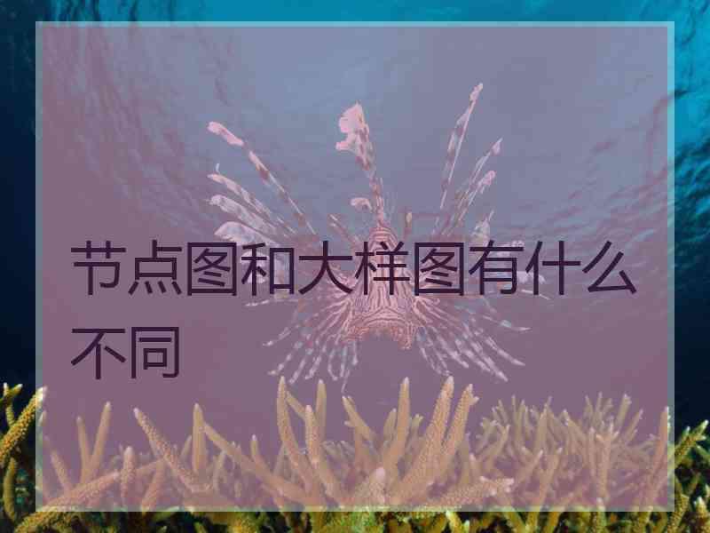 节点图和大样图有什么不同