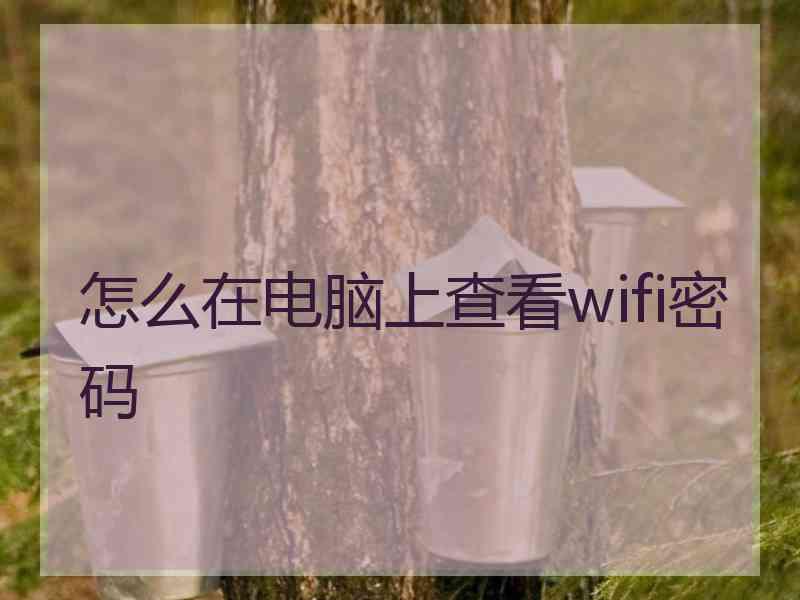 怎么在电脑上查看wifi密码