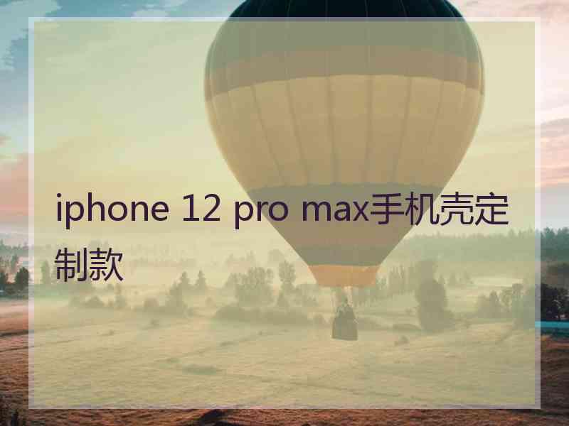 iphone 12 pro max手机壳定制款