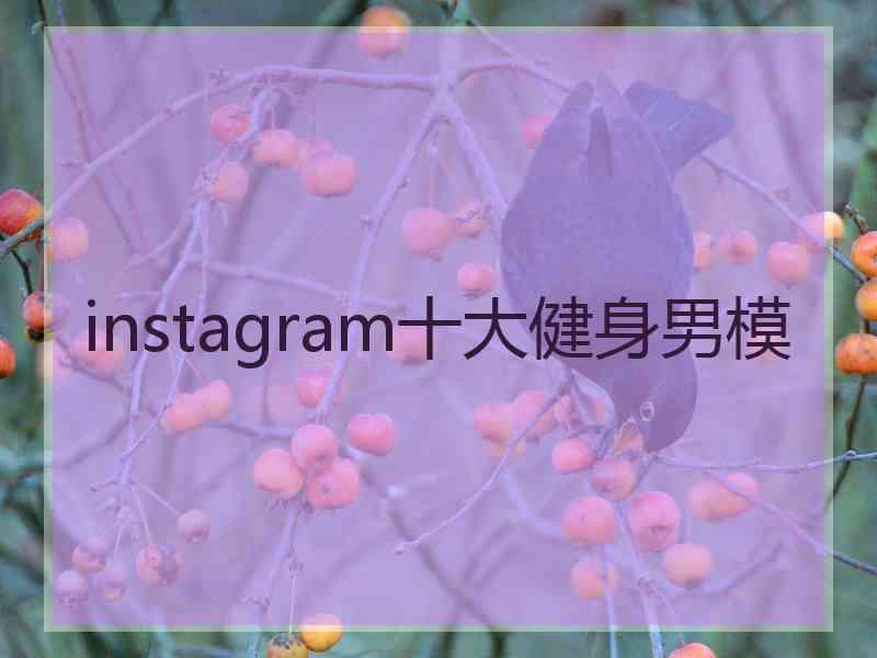 instagram十大健身男模