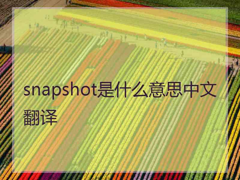 snapshot是什么意思中文翻译