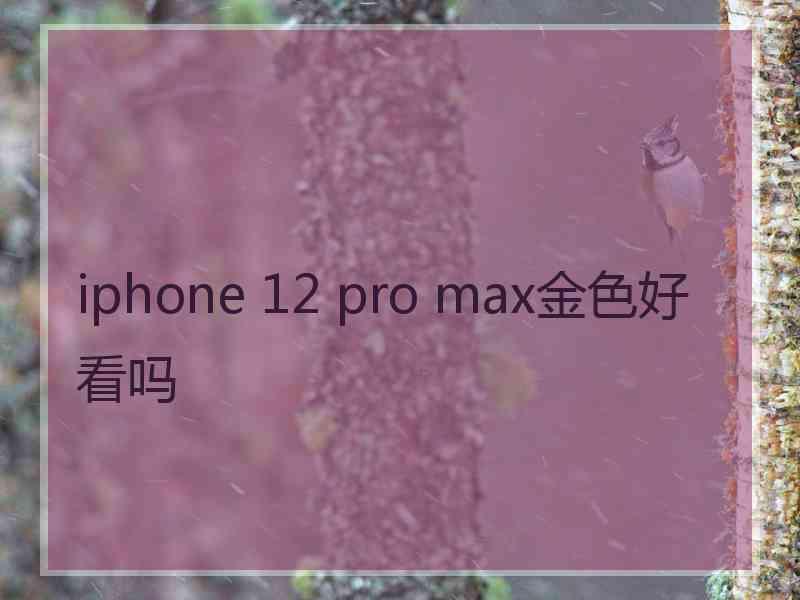 iphone 12 pro max金色好看吗