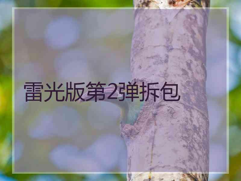 雷光版第2弹拆包