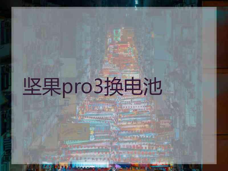 坚果pro3换电池