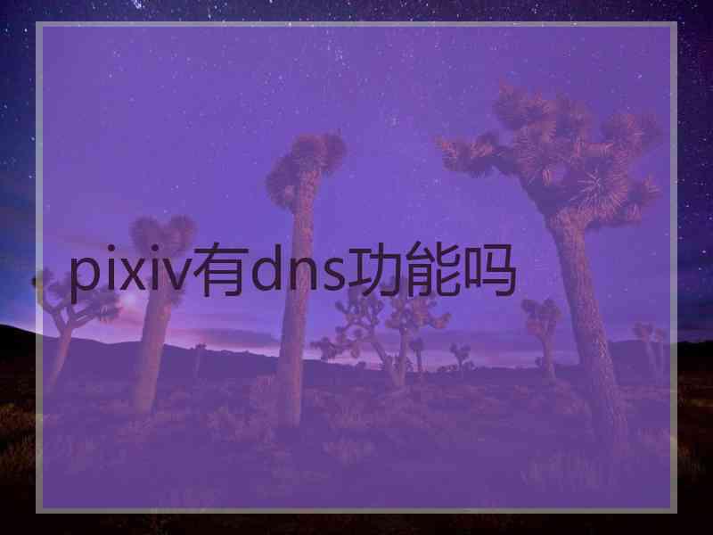 pixiv有dns功能吗