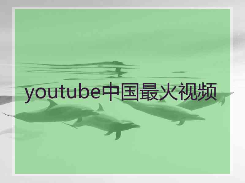 youtube中国最火视频