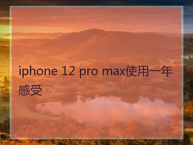 iphone 12 pro max使用一年感受