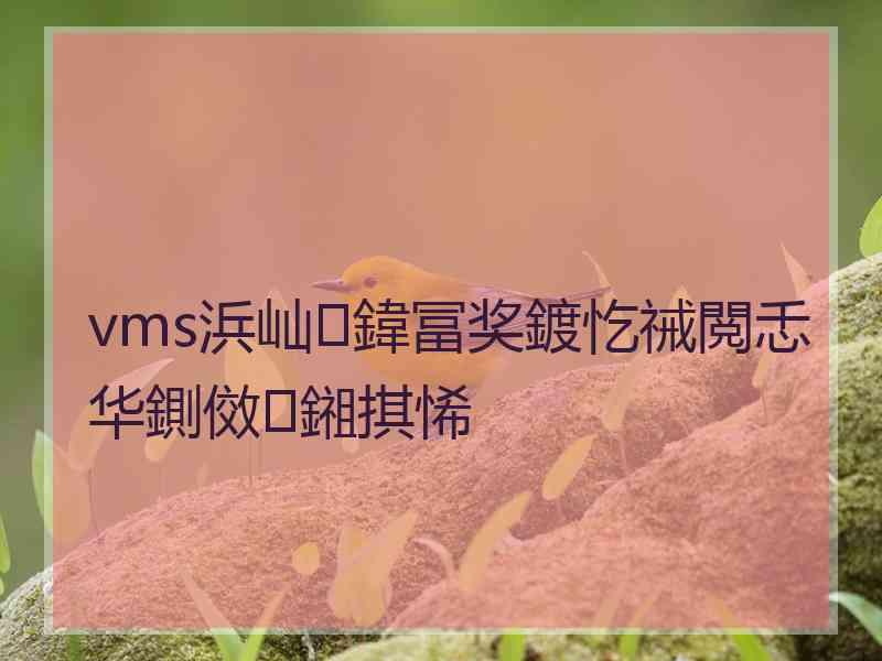 vms浜屾鍏冨奖鍍忔祴閲忎华鍘傚鎺掑悕