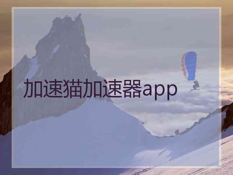 加速猫加速器app